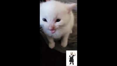mizkifYo