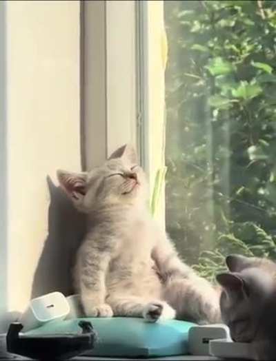 The holy sunbeam has chosen its disciple