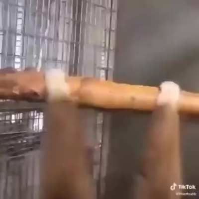 Mœñkë