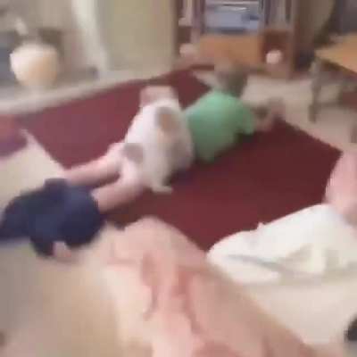 What da dog doin