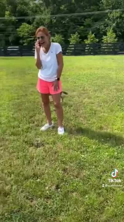 R.I.P. Lil' Sebastian parody edited while at Lollapalooza right before Foo Fights set