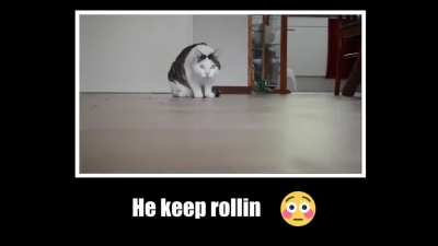 roller