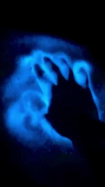 Bioluminescent waves.