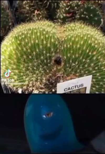 lol