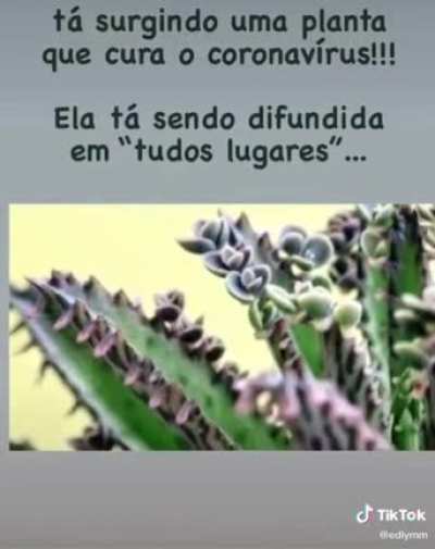 esse lugar ja foi melhor