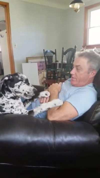 My dad vs my puppy