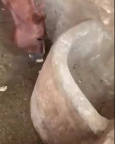 nature is fucking metal