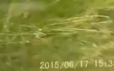 Russia: Lada hits a car