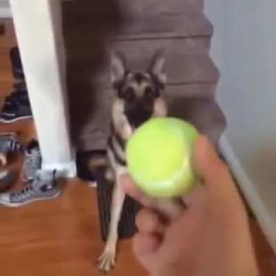 Duke do you want the ball
