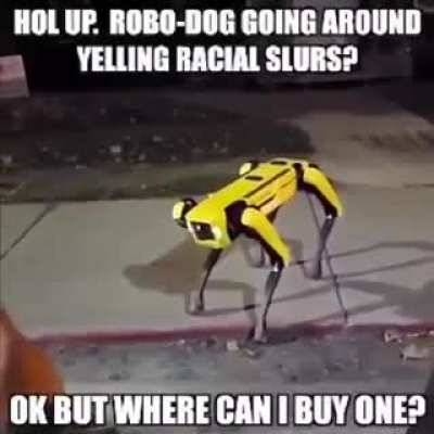 Robo-dog rule