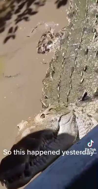 Repost w/sound