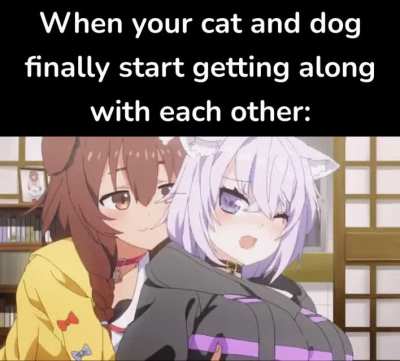 So cute when they play together