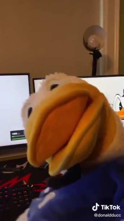 Donald duck