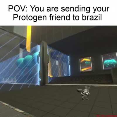 furry_irl
