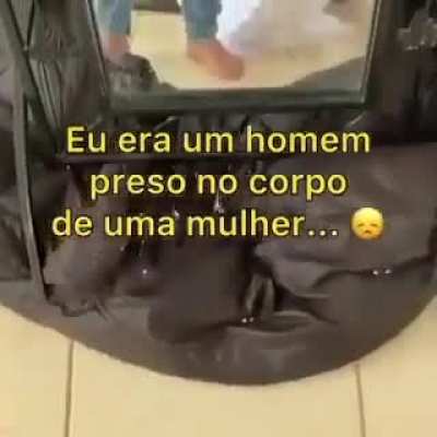 Que lindo estou emocionando