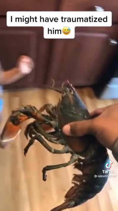 Lil boy is afraid of a lobster