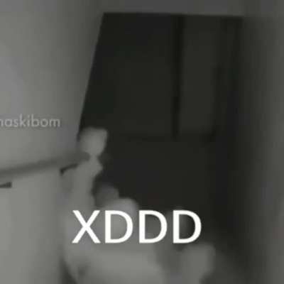 xd