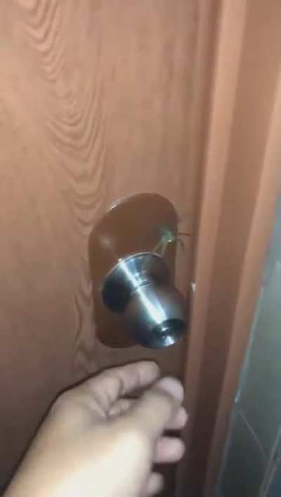 Best lock ever!