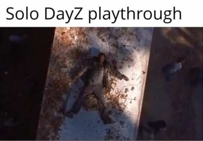 DayZ