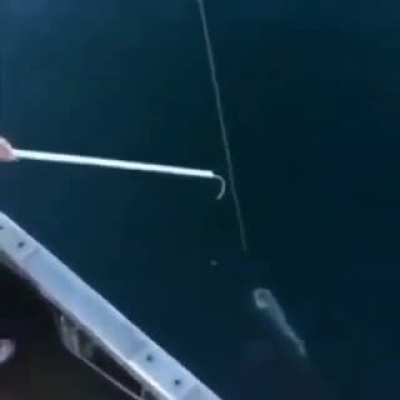 A very American way of fishing
