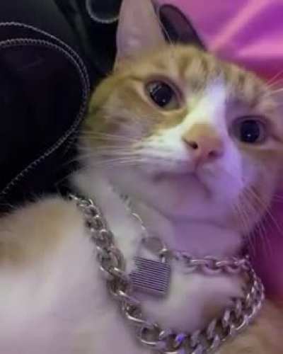 Woah he drippin