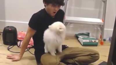It’s like temmie chose Michael to be Lily’s boyfriend