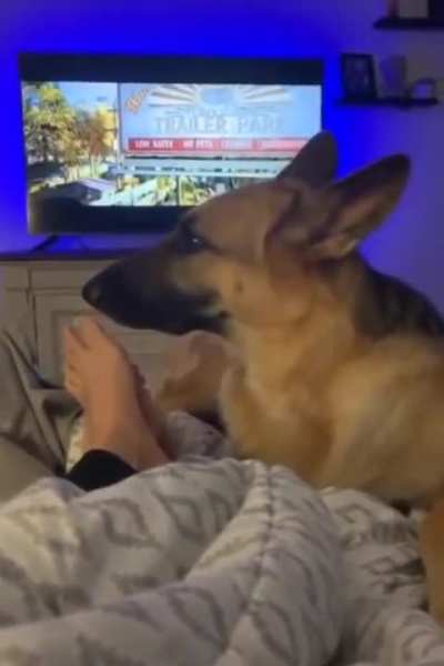 Dog no longer has a thing for feet.