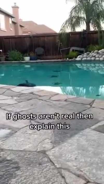 I don't know seems real