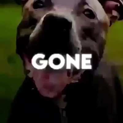 He was hungi