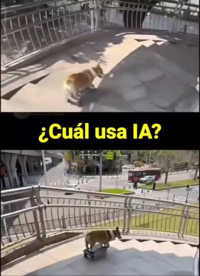 Sabrán cuál