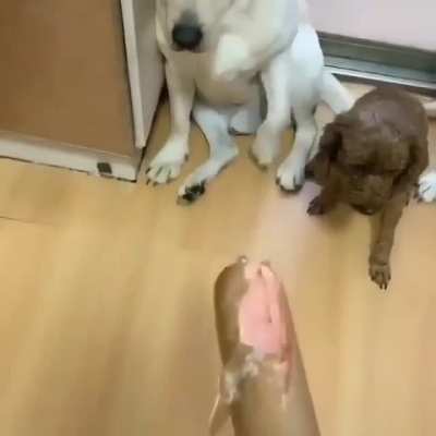 A criminal being outed by his co-conspirators