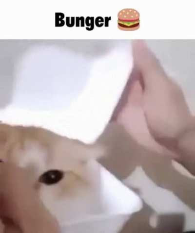 yeah