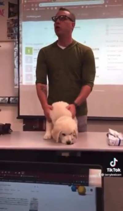 If we lose the vocab bowl…
