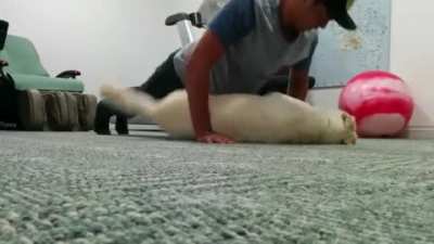 Push-ups are bad for you apparently