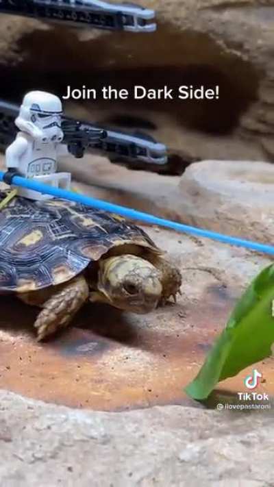 Stormtroopers with new rides