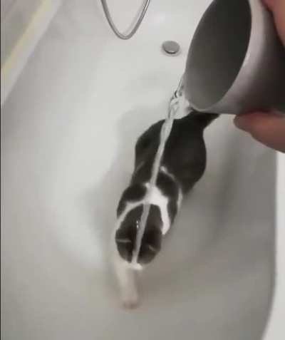 To stop water