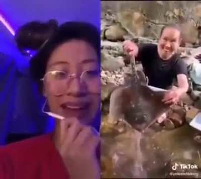 Nihao