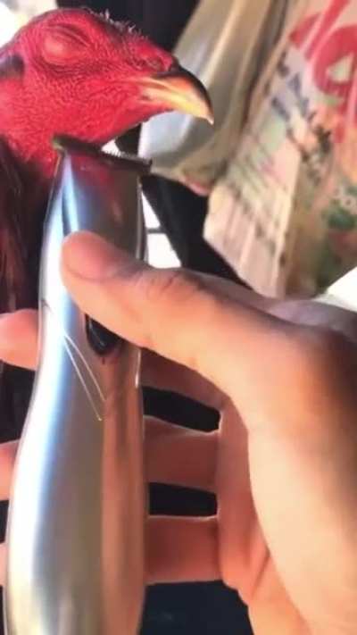Shaving my COCK