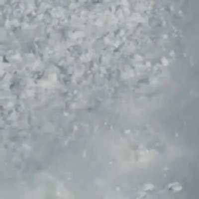 A fearless hare crossing a deadly avalanche in Kamchatka