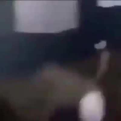 mó soninho