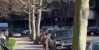 Headbutting a car