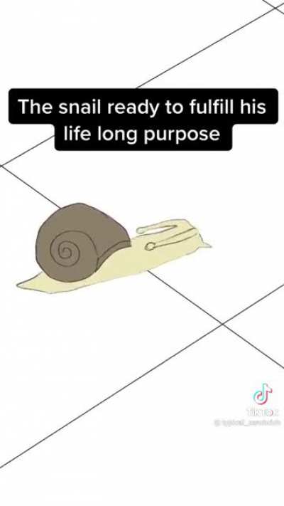 A snails purpose