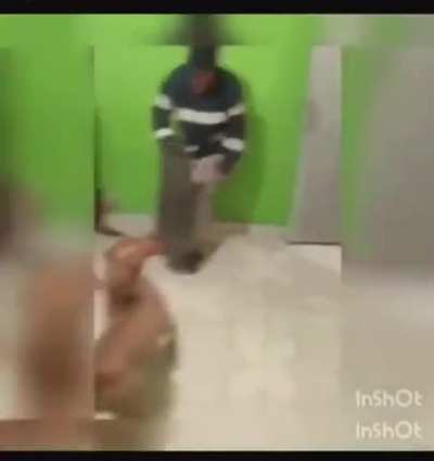 He doesn't bite