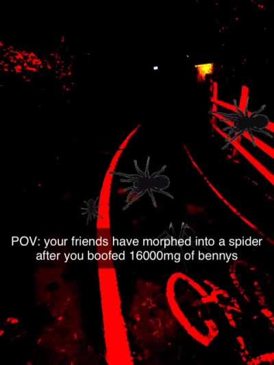 POV: your friends turned into spiders after you boofed 16000mg of dph
