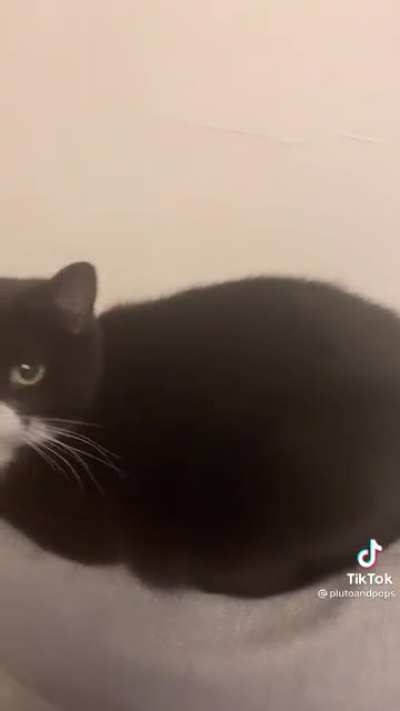 10/10 Loaf