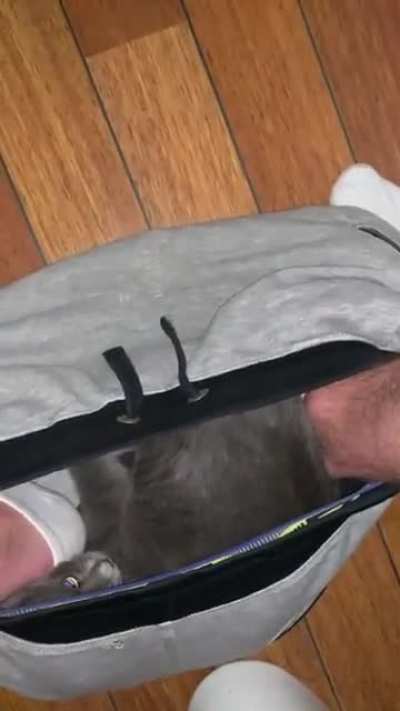 If I fit I sit even if u taking a shit