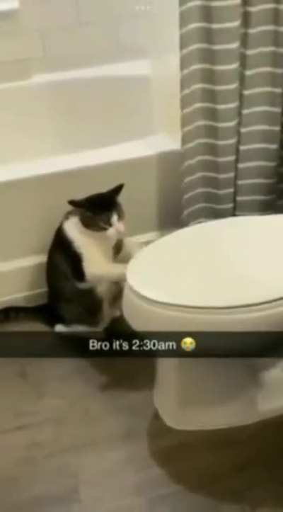 2:30 am 😭