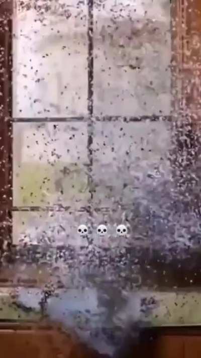 Blursed_Food