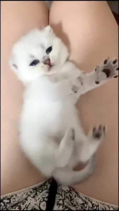 Stretchy