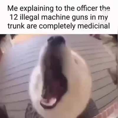 It helps me sleep officer